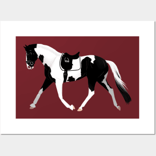 Dressage Pinto Warmblood Posters and Art